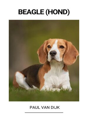 cover image of Beagle (Hond)